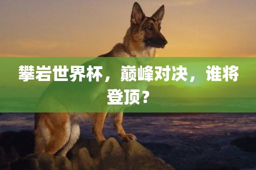 攀岩世界杯，巅峰对决，谁将登顶？