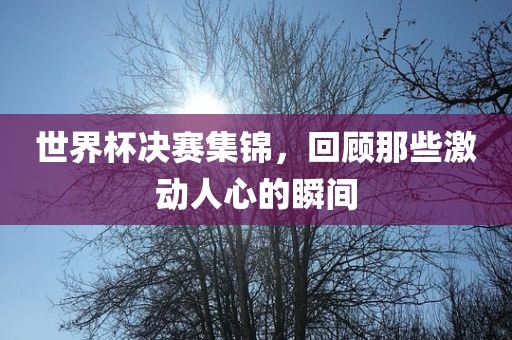 世界杯决赛集锦，回顾那些激动人心的瞬间