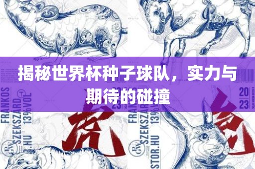 揭秘世界杯种子球队，实力与期待的碰撞