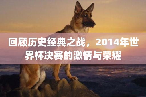 回顾历史经典之战，2014年世界杯决赛的激情与荣耀