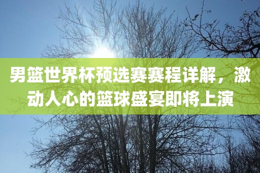 男篮世界杯预选赛赛程详解，激动人心的篮球盛宴即将上演
