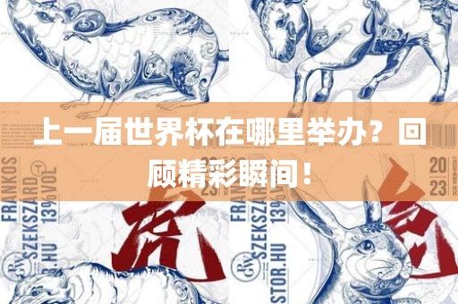 上一届世界杯在哪里举办？回顾精彩瞬间！