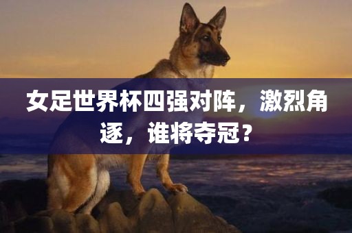 女足世界杯四强对阵，激烈角逐，谁将夺冠？