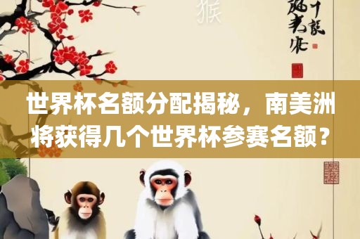 世界杯名额分配揭秘，南美洲将获得几个世界杯参赛名额？