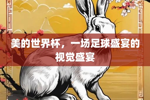 美的世界杯，一场足球盛宴的视觉盛宴