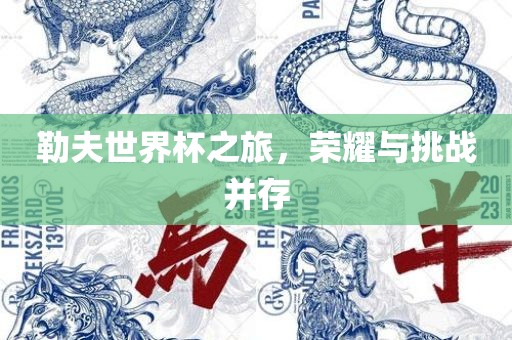 勒夫世界杯之旅，荣耀与挑战并存