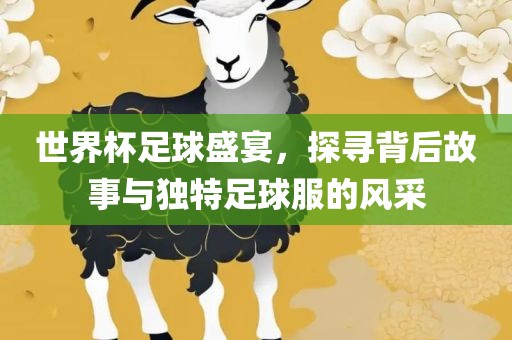 世界杯足球盛宴，探寻背后故事与独特足球服的风采