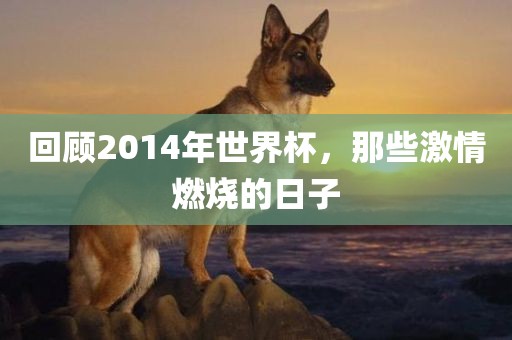 回顾2014年世界杯，那些激情燃烧的日子