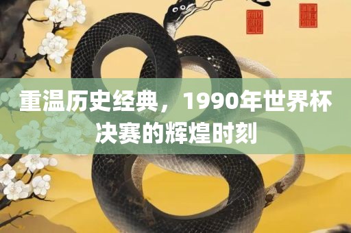 重温历史经典，1990年世界杯决赛的辉煌时刻