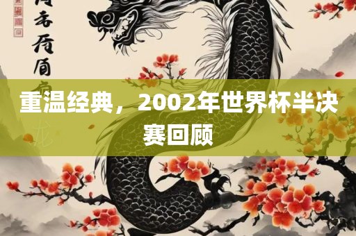 重温经典，2002年世界杯半决赛回顾
