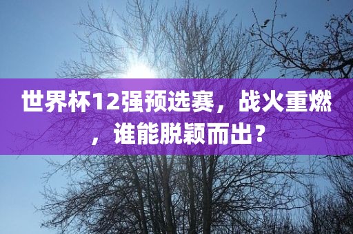 世界杯12强预选赛，战火重燃，谁能脱颖而出？