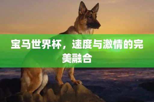宝马世界杯，速度与激情的完美融合