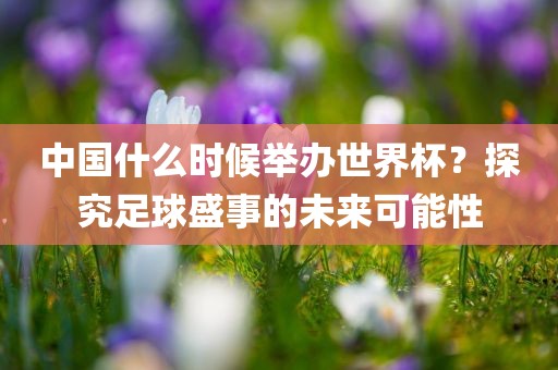 中国什么时候举办世界杯？探究足球盛事的未来可能性