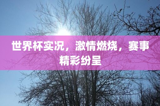 世界杯实况，激情燃烧，赛事精彩纷呈