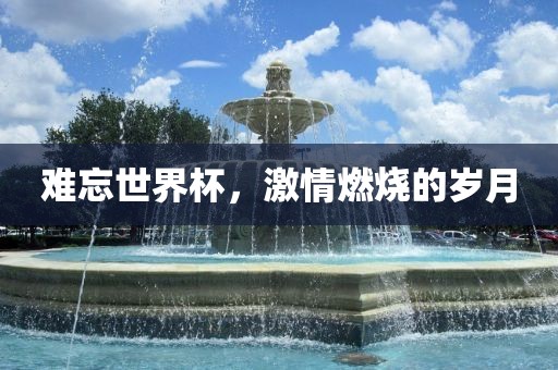难忘世界杯，激情燃烧的岁月