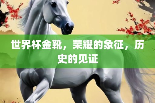 世界杯金靴，荣耀的象征，历史的见证