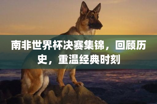 南非世界杯决赛集锦，回顾历史，重温经典时刻