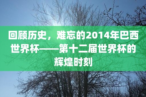 回顾历史，难忘的2014年巴西世界杯——第十二届世界杯的辉煌时刻