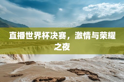 直播世界杯决赛，激情与荣耀之夜