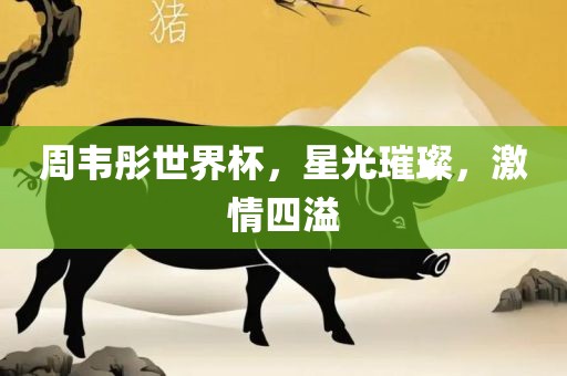 周韦彤世界杯，星光璀璨，激情四溢