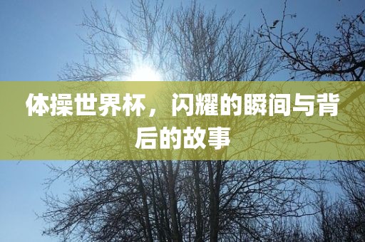 体操世界杯，闪耀的瞬间与背后的故事