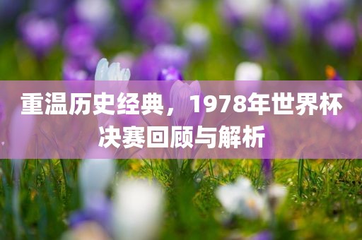 重温历史经典，1978年世界杯决赛回顾与解析