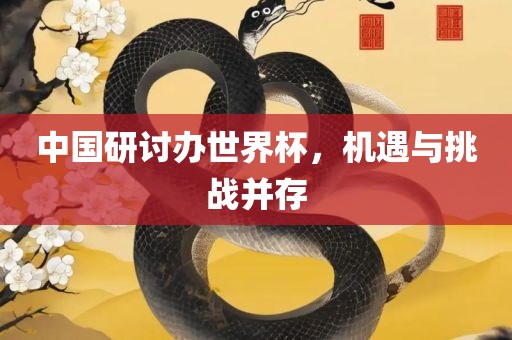 中国研讨办世界杯，机遇与挑战并存