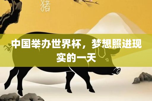 中国举办世界杯，梦想照进现实的一天