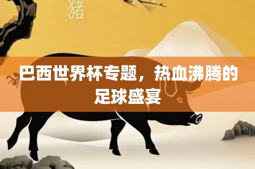 巴西世界杯专题，热血沸腾的足球盛宴