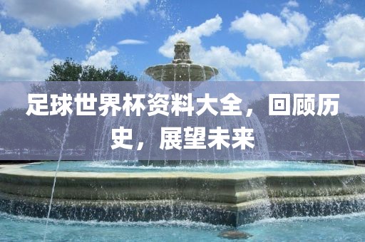 足球世界杯资料大全，回顾历史，展望未来