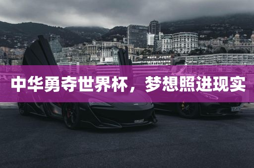 中华勇夺世界杯，梦想照进现实