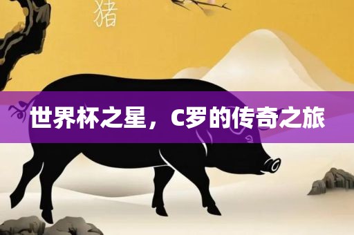 世界杯之星，C罗的传奇之旅