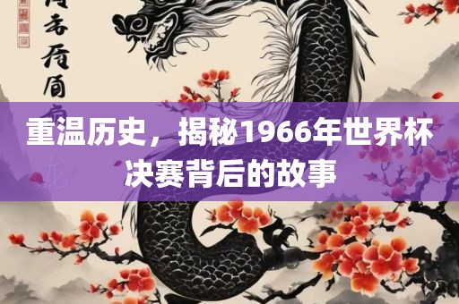 重温历史，揭秘1966年世界杯决赛背后的故事