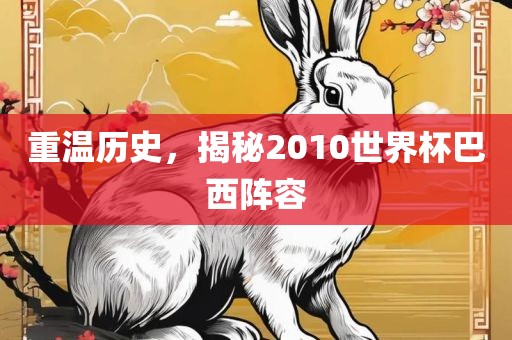 重温历史，揭秘2010世界杯巴西阵容