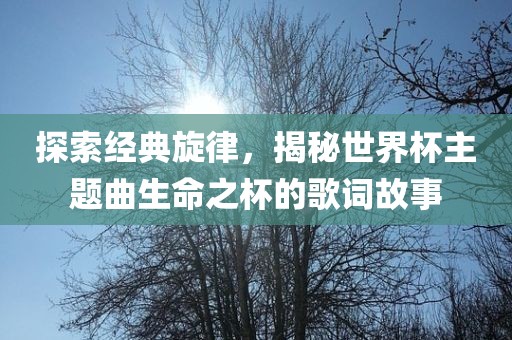 探索经典旋律，揭秘世界杯主题曲生命之杯的歌词故事