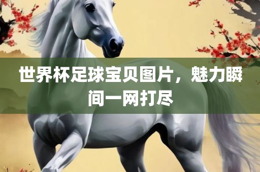 世界杯足球宝贝图片，魅力瞬间一网打尽