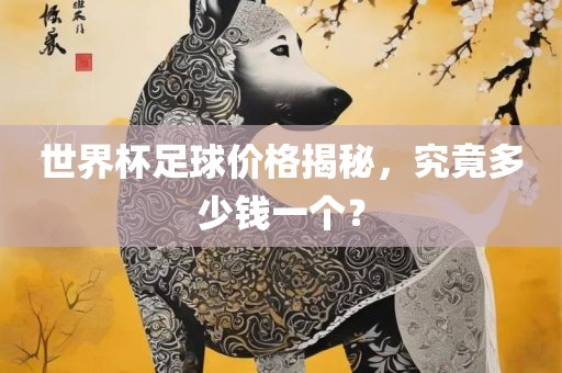 世界杯足球价格揭秘，究竟多少钱一个？