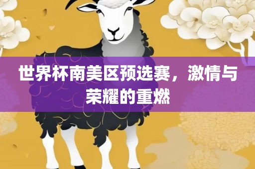 世界杯南美区预选赛，激情与荣耀的重燃