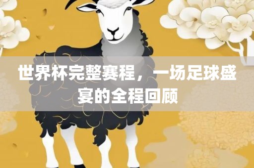 世界杯完整赛程，一场足球盛宴的全程回顾