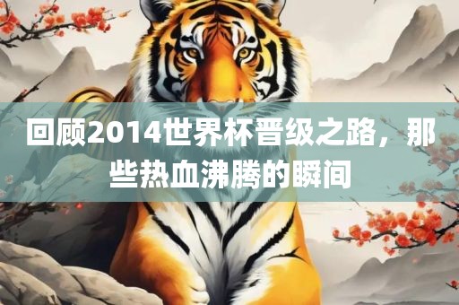 回顾2014世界杯晋级之路，那些热血沸腾的瞬间