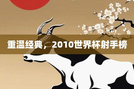 重温经典，2010世界杯射手榜