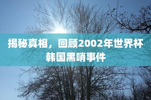 揭秘真相，回顾2002年世界杯韩国黑哨事件
