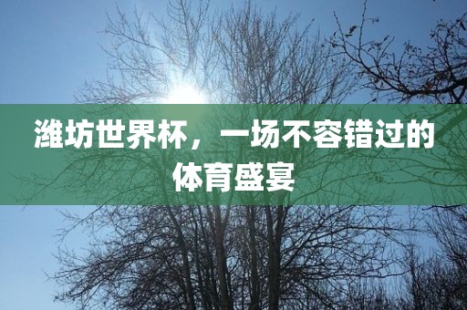 潍坊世界杯，一场不容错过的体育盛宴