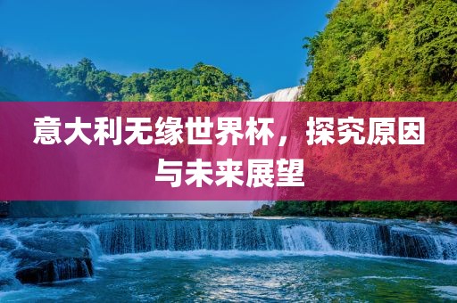 意大利无缘世界杯，探究原因与未来展望
