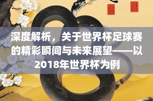 深度解析，关于世界杯足球赛的精彩瞬间与未来展望——以2018年世界杯为例