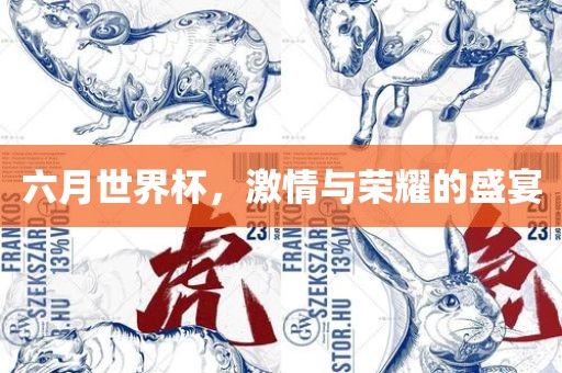 六月世界杯，激情与荣耀的盛宴