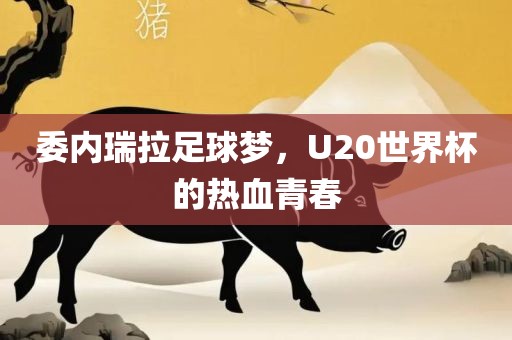 委内瑞拉足球梦，U20世界杯的热血青春