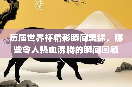 历届世界杯精彩瞬间集锦，那些令人热血沸腾的瞬间回顾