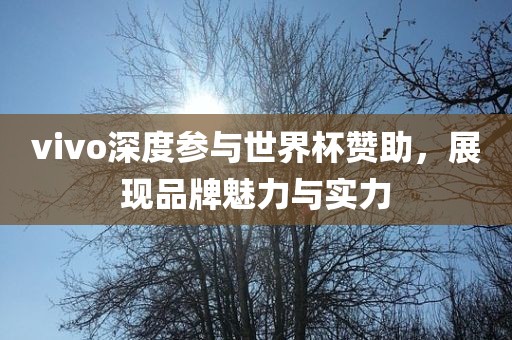 vivo深度参与世界杯赞助，展现品牌魅力与实力