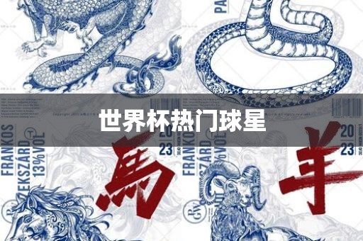 世界杯热门球星